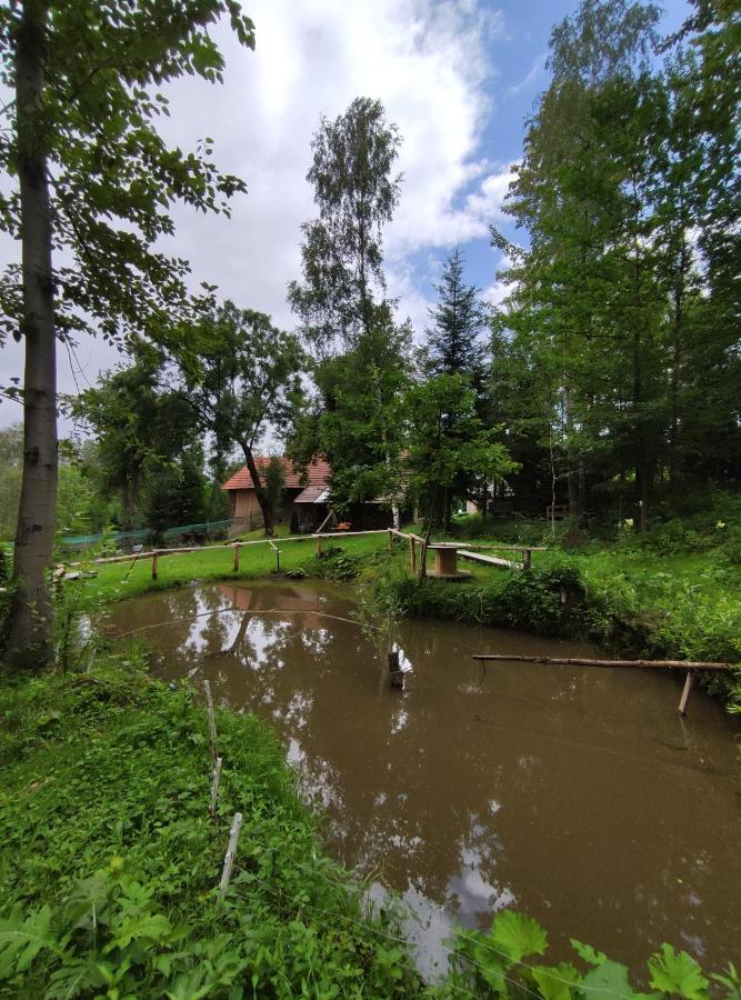 Agroturystyka Zielona Dolinka Stryszow Экстерьер фото